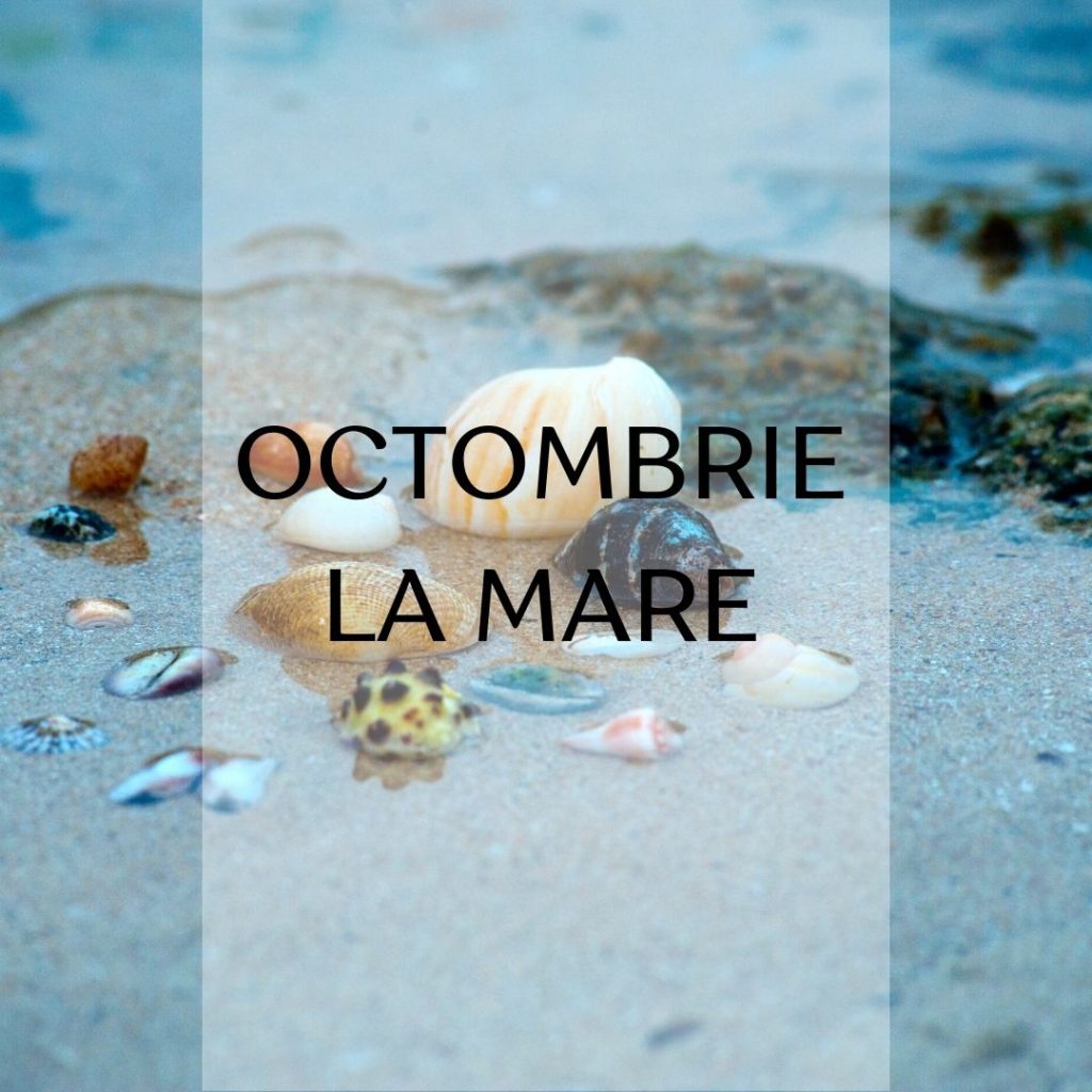 oferta luna octombrie