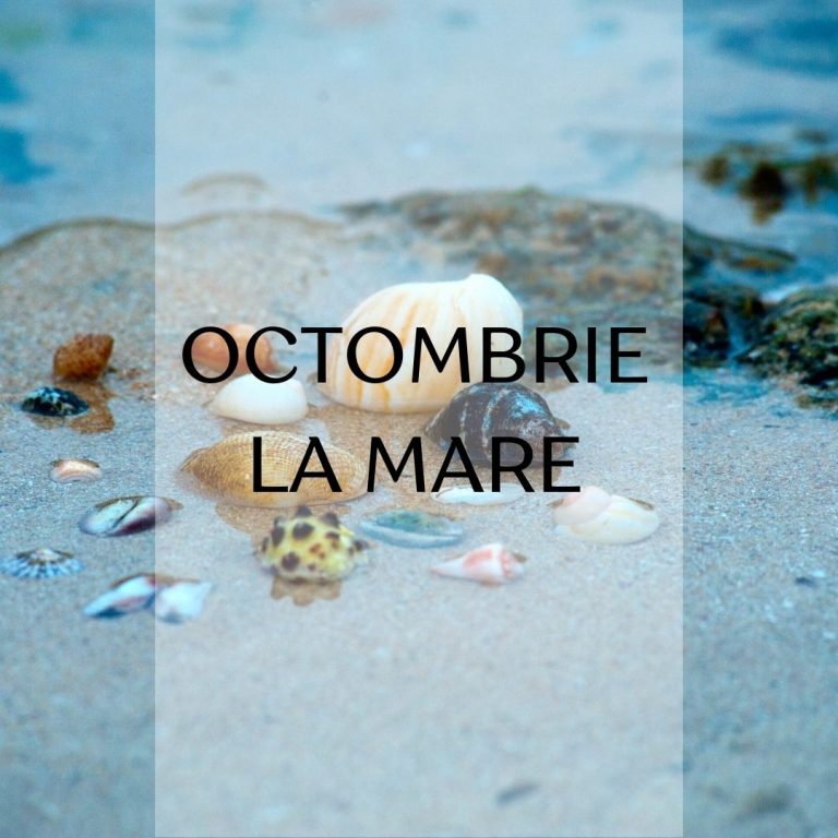 oferta luna octombrie